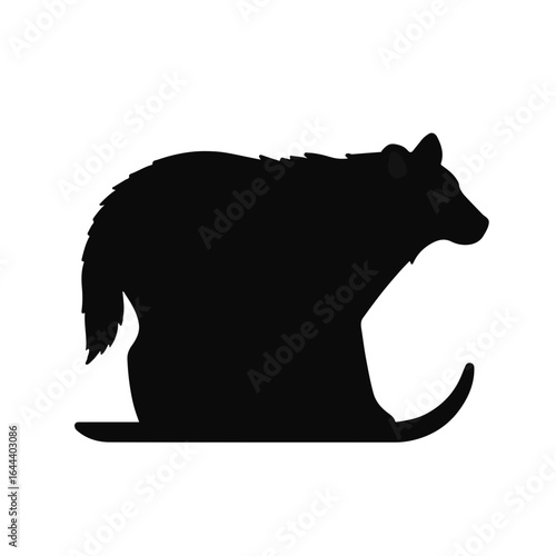 Snowshoe Hare - Black