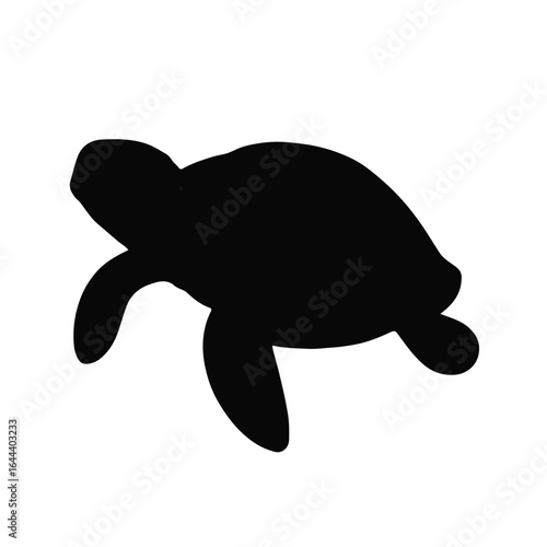 Snapping Turtle Animal