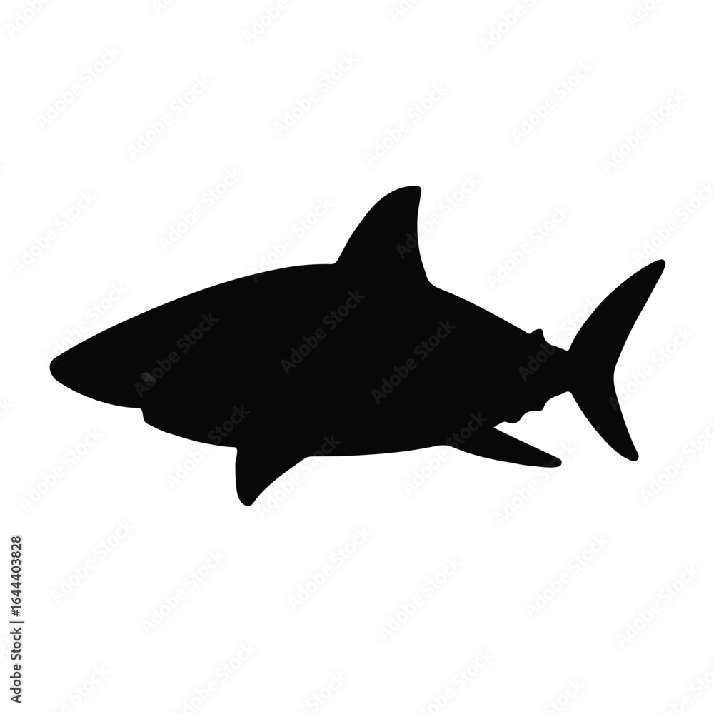 Obraz premium Silky Shark Illustration
