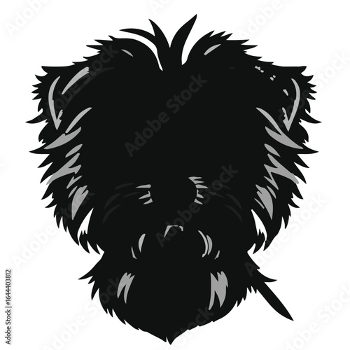 Silky Terrier Pet Illustration