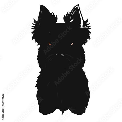 Silky Terrier Animal Illustration