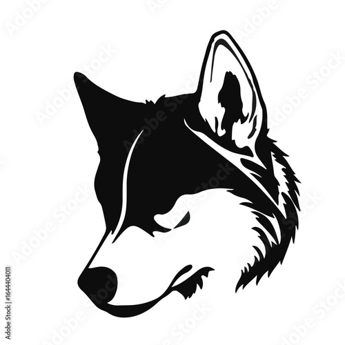 Siberian Husky Portrait