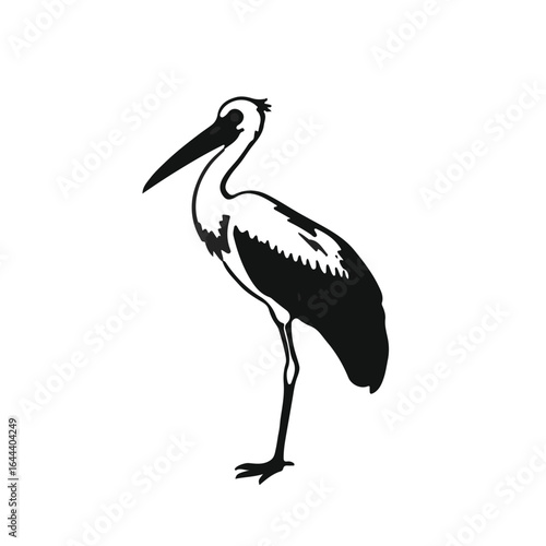 Shoebill Stork Bird