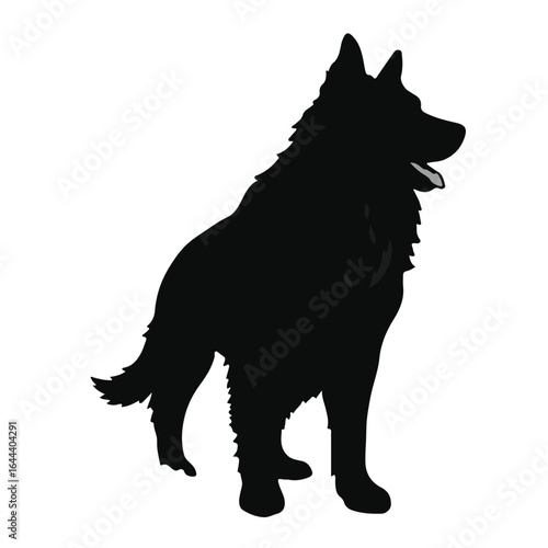 Shiloh Shepherd Pet