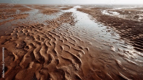 Wide-angle view of a muddy beach with rippled sand patterns, shallow water pools reflecting sky, and textured wet soil on a cloudy day