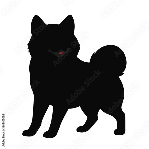 Black Shiba Inu