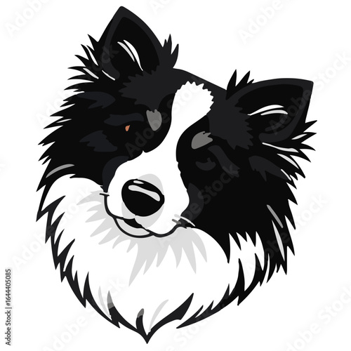 Shetland Sheepdog Illustration