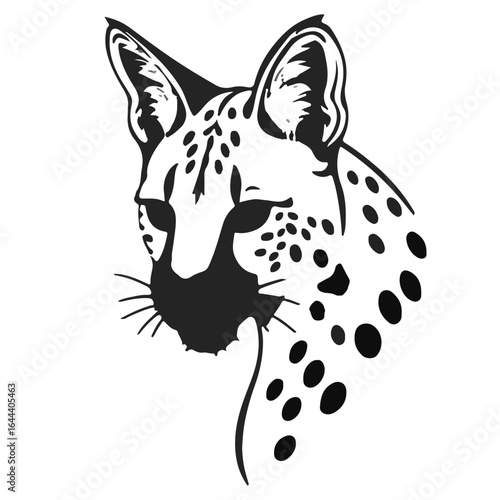 Black Serval Image