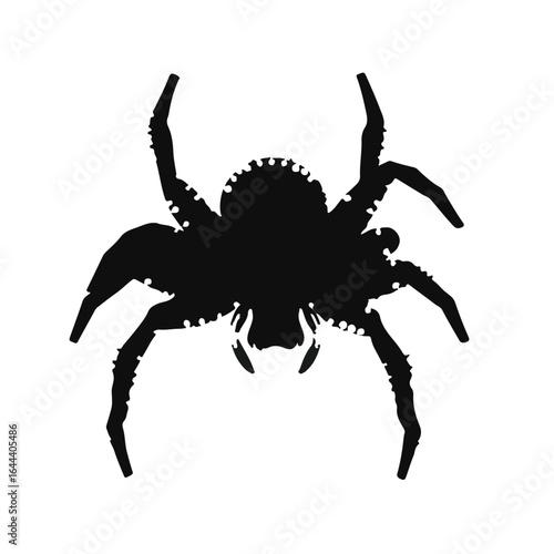 Sequined Spider Animal