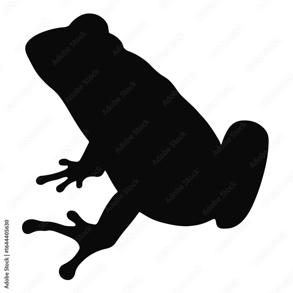 Obraz premium Water Frog Photograph