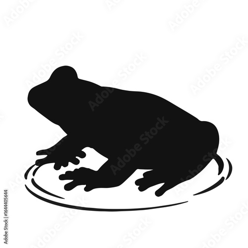 Sehuencas Water Frog Illustration