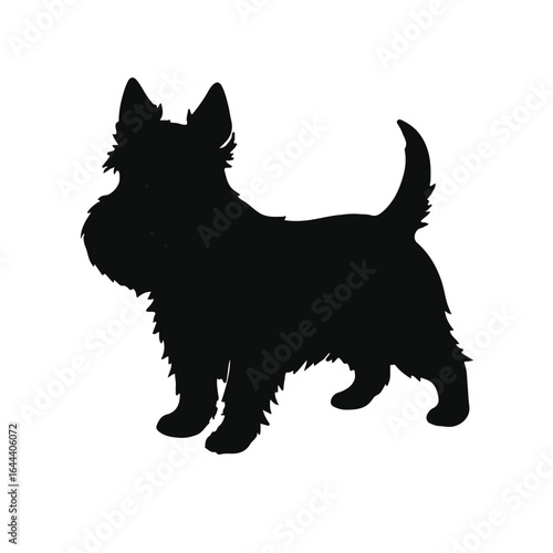 Scottish Terrier Illustration