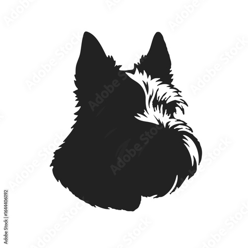 Scottish Terrier Illustration