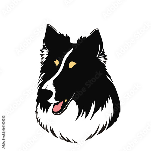 Scotch Collie Dog