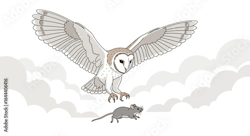 Illustration of a barn owl hunting a mouse in the clouds creating a sense of nature and predation
