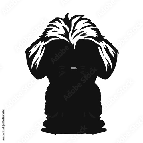 Schnoodle Black Pet Animal