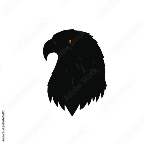 Black Schnauzer Animal