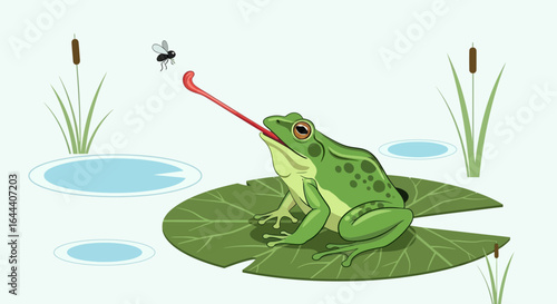 Illustration of a green frog catching a fly with its tongue on a pond with cattails and lily pads