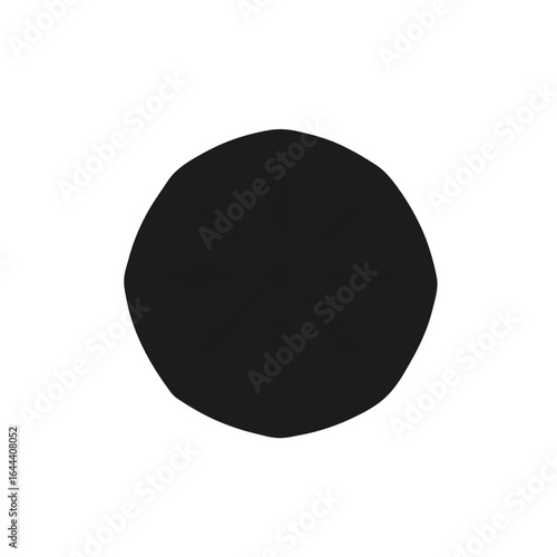 Sand Dollar Marine Life