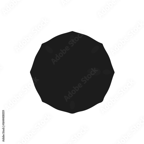 Sand Dollar Marine Creature