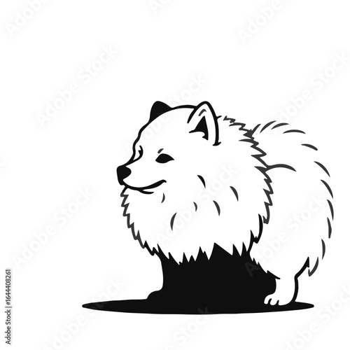Black Samoyed Animal