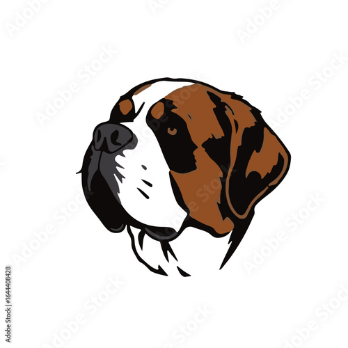 Saint Bernard Animal Illustration