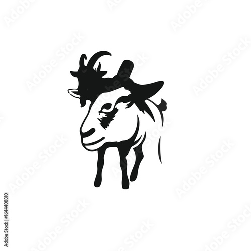 Saanen Goat Image