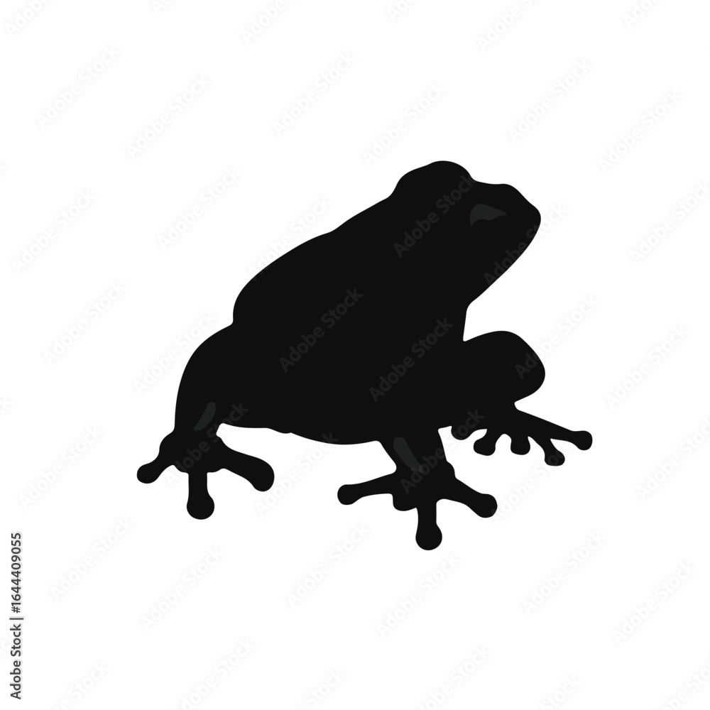 Fototapeta premium Frog Amphibian Scrotum