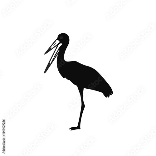 Black Stork Illustration
