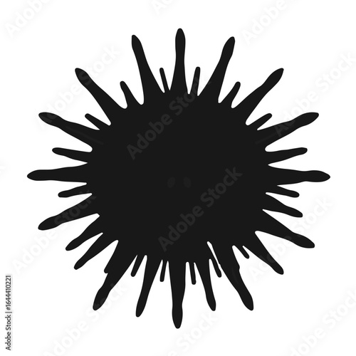 Black Sea Urchin Marine Life