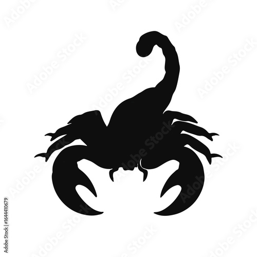 Black Scorpion Animal