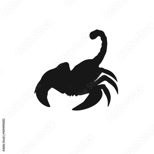 Black Scorpion Animal