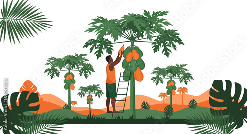 Illustration of a farmer harvesting papayas in a lush tropical landscape during daytime