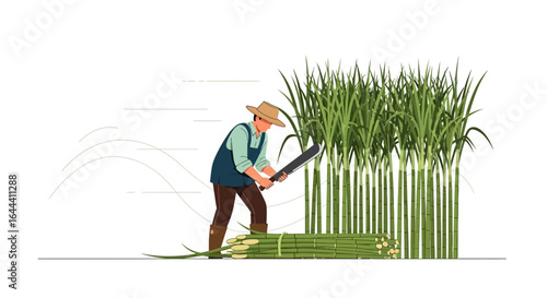Illustration of a farmer harvesting sugarcane with a machete in a field scene agriculture