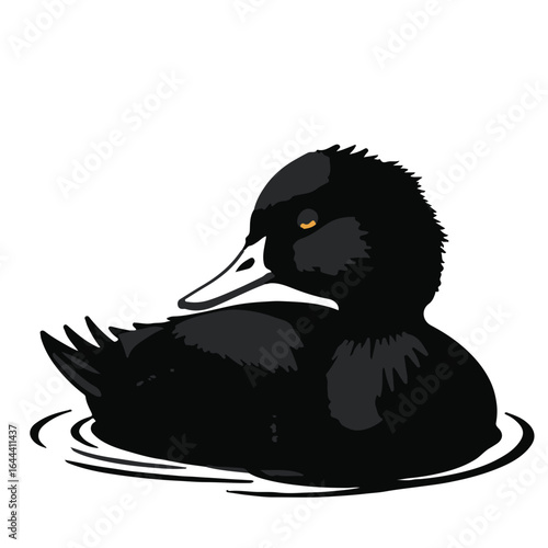 Ruddy Duck Wildlife Illustration