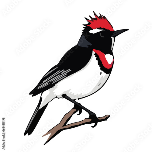 Ruby-Crowned Kinglet Image