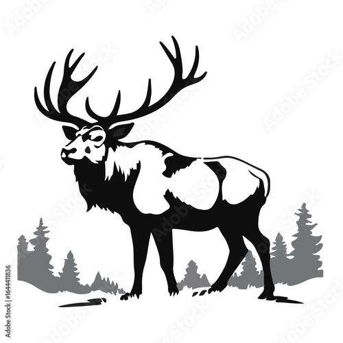 Roosevelt Elk Illustration