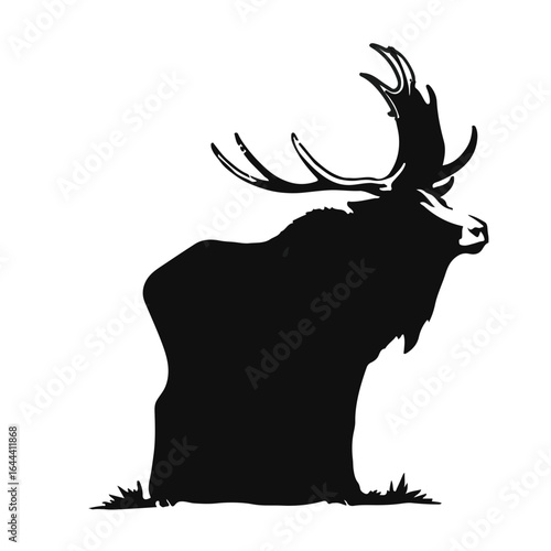 Roosevelt Elk Animal