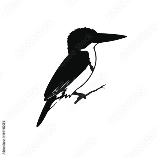 Ringed Kingfisher Image