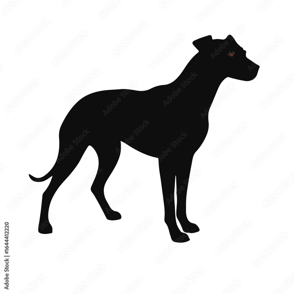 Fototapeta premium Rhodesian Ridgeback Portrait