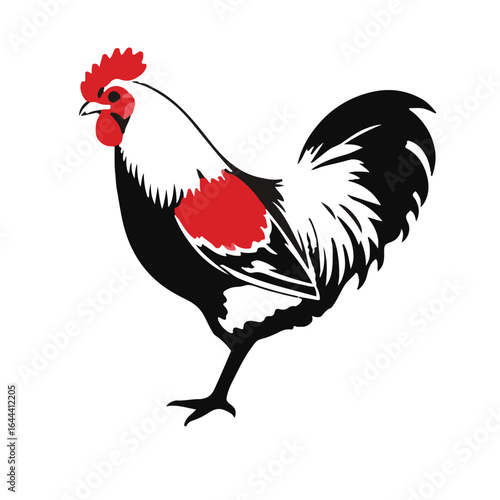 Rhode Island Red Chicken Image