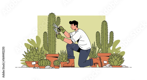 Illustration of a gardener pruning cacti in pots a serene and detailed scene