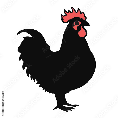 Rhode Island Red Chicken