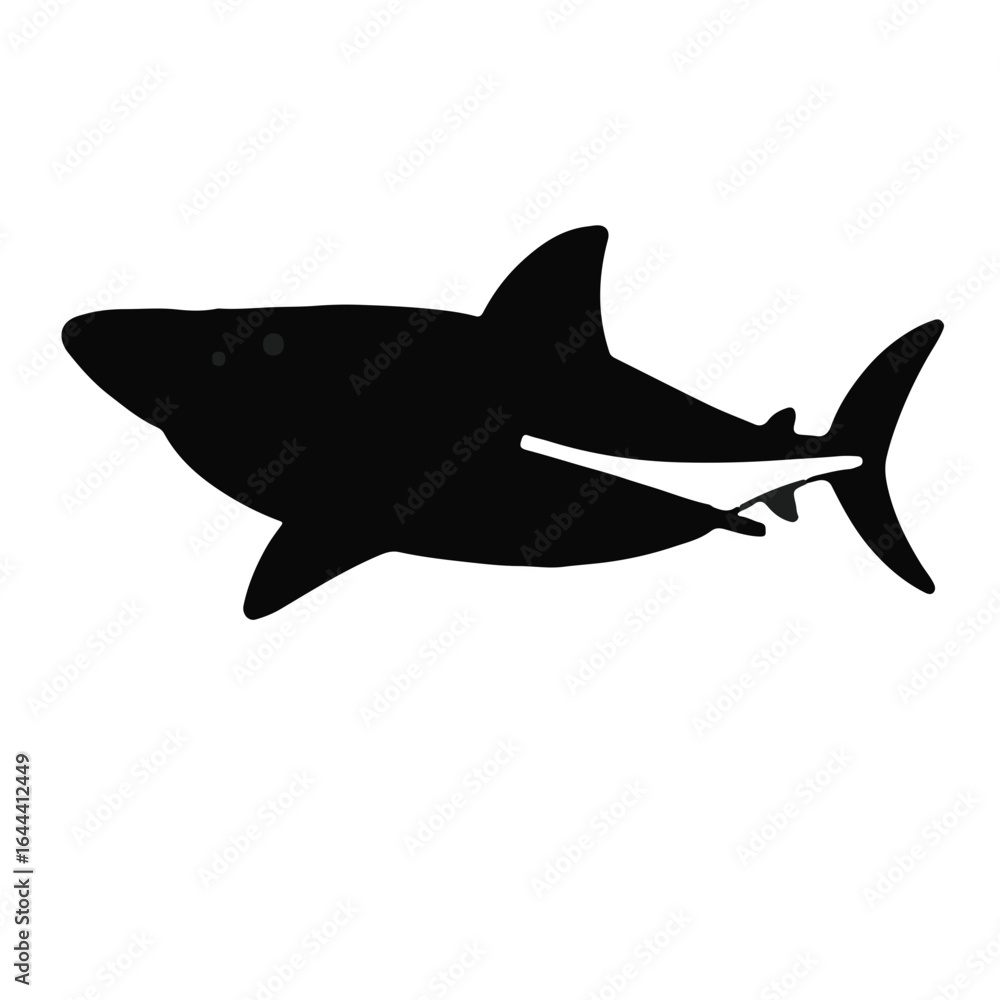 Fototapeta premium Black Reef Shark