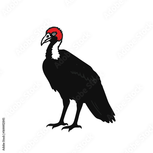Red-Headed Vulture Image