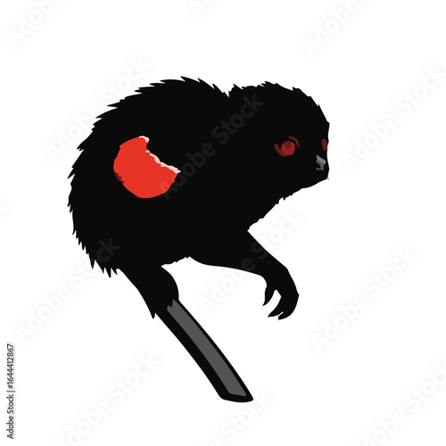 Red-handed Tamarin Portrait