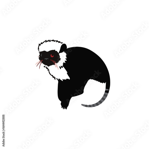 Red-Handed Tamarin Photograph