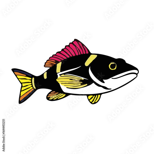 Rainbow Kribensis Animation