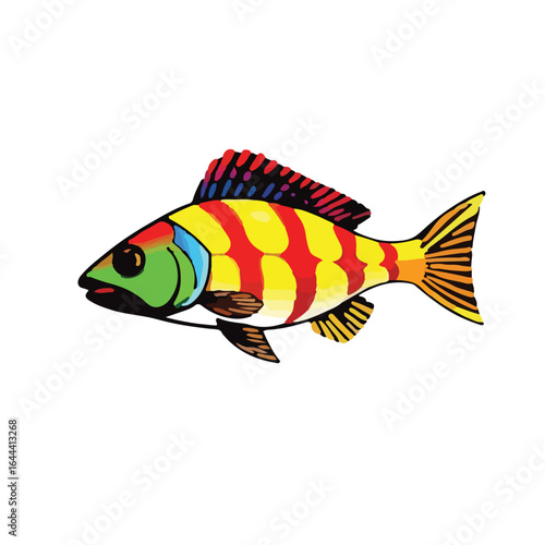 Animated Rainbow Kribensis