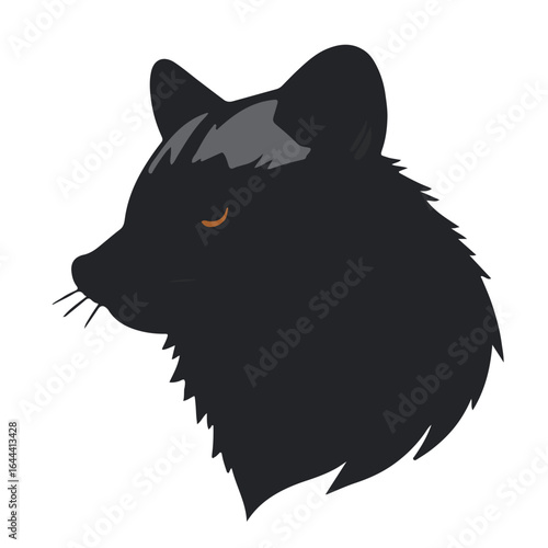 Raccoon-Dog Illustration